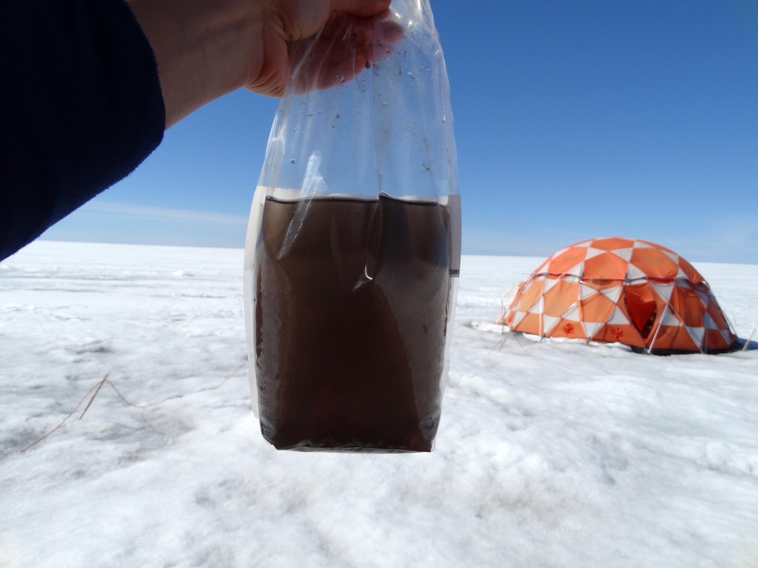 מגני הקרח?  וירוסים ענקיים מוזרים שהתגלו על משטח הקרח של גרינלנד